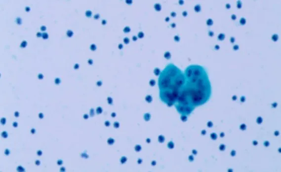 1633662657793882.png image.png