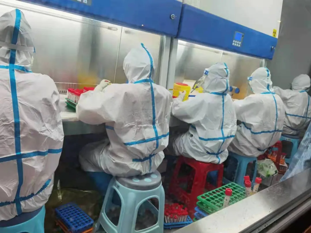 1639033055783905.png image.png