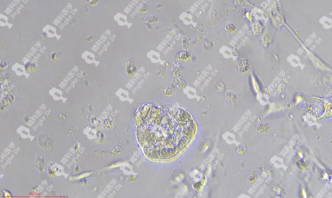 1656648206294782.png image.png