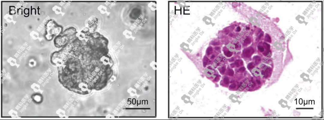 1656648261396010.png image.png