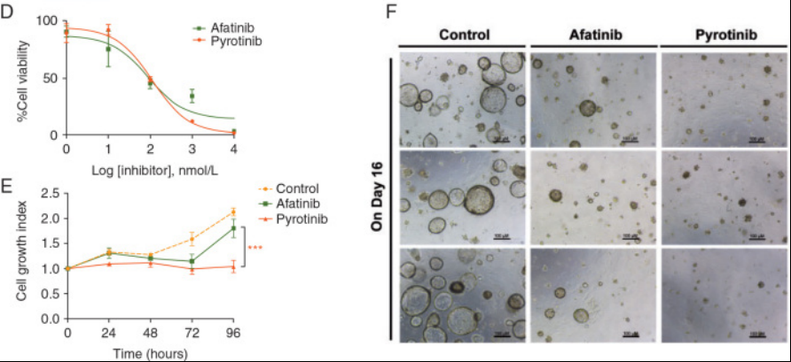 1663587124999026.png image.png