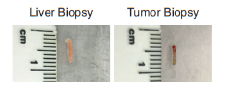 1663588038930339.png image.png