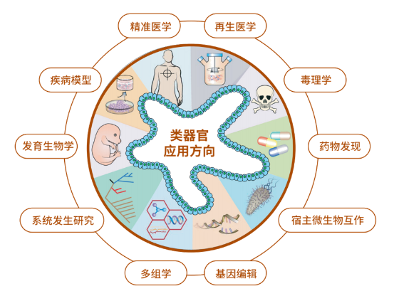 1683796391937126.png image.png