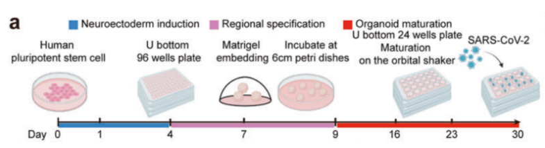 1684121272273047.png image.png