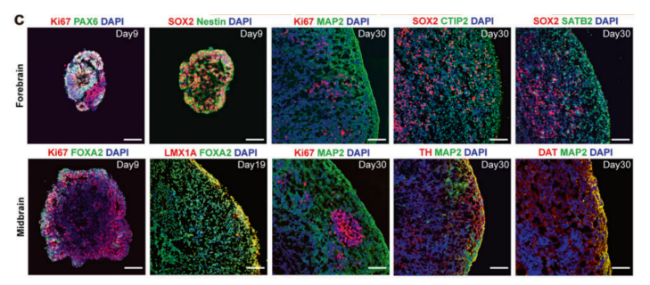 1684121346162478.png image.png