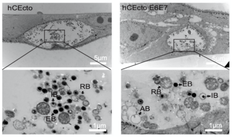 1684129609945503.png image.png