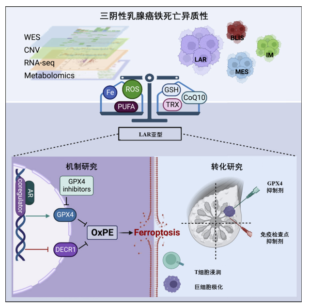 1684130032260091.png image.png