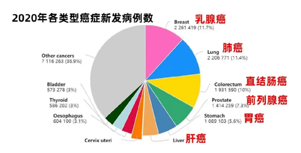 1684130336803342.png image.png