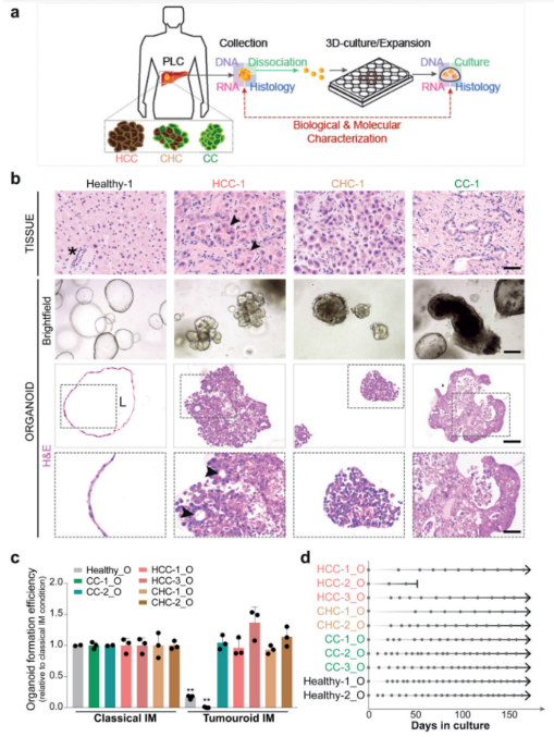 1684132591958930.png image.png