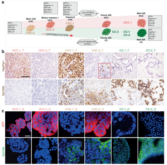 1684132627692751.png image.png