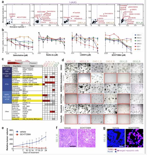 1684132747592120.png image.png