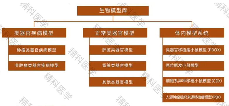 1685502348832081.png image.png