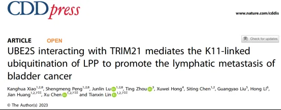 1737711119166246.png image.png