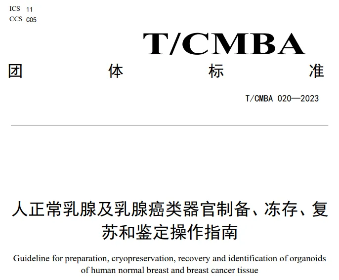 1737711480978406.png image.png